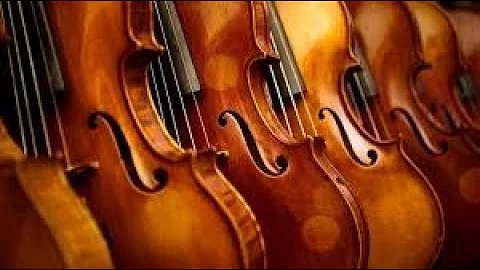 International Academy of Music - 2004 String Works...