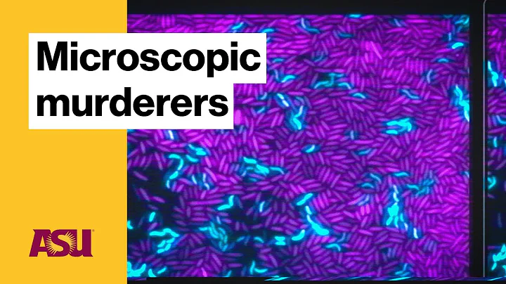 Microscopic murderers: Arizona State University (ASU)
