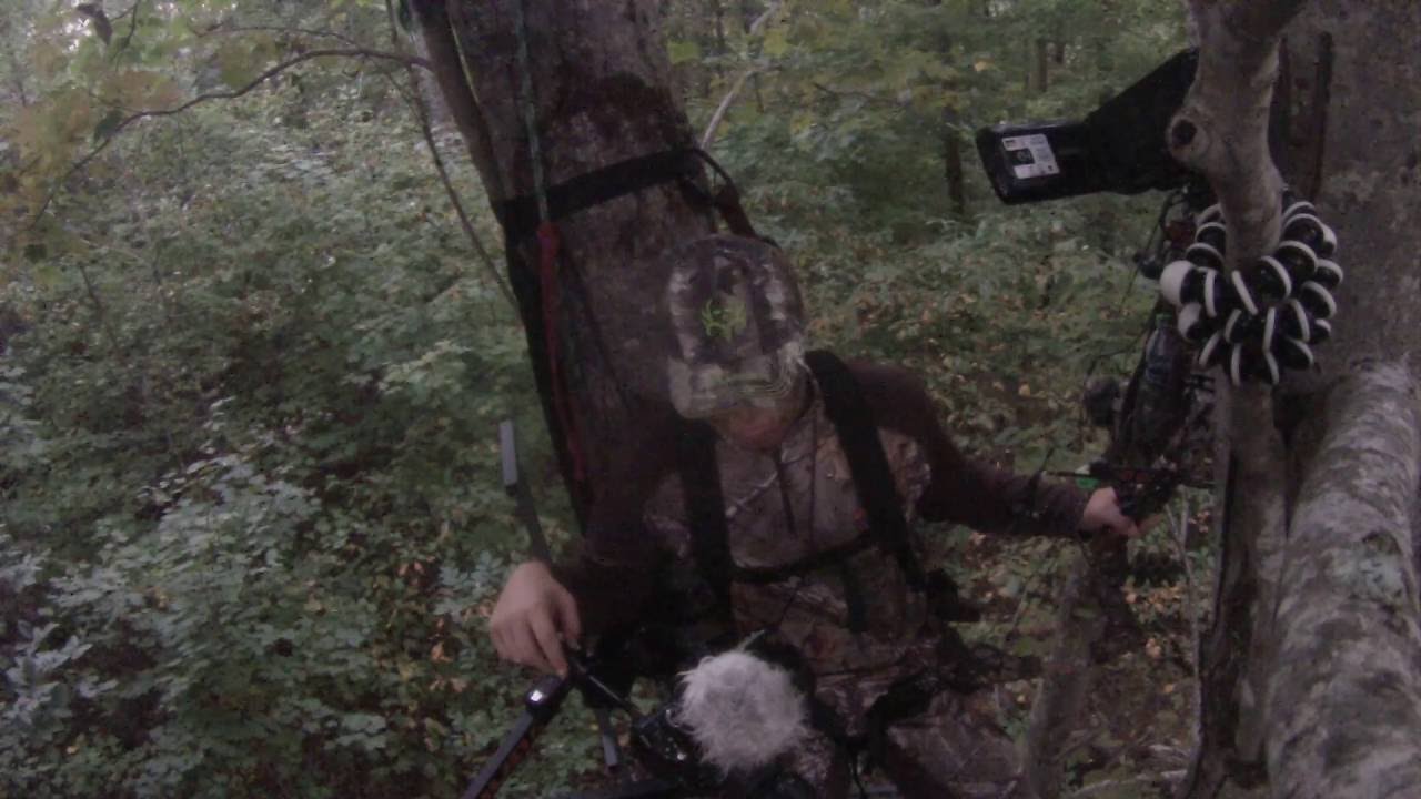 camera iphone 8 plus apk Intesnse Bow Hunting Encounters