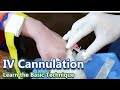 Intravenous (IV) Cannulation | OSCE guide | UKMLA | Plab 2 | USMLE | MRCP| Basic Clinical Skills 