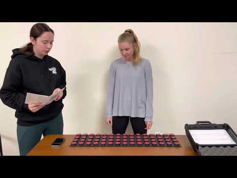 Minnesota Manual Dexterity