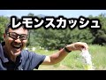 キリン メッツ プラス レモンスカッシュを飲む・マック堺のサブチャンネル動画