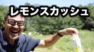 キリン メッツ プラス レモンスカッシュを飲む・マック堺のサブチャンネル動画