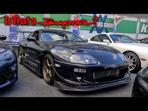 Supra Geliyor Mu? 😋 Durumu Nasıl? | Japonic