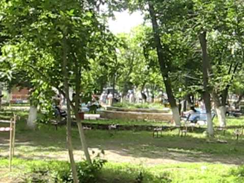 Парк города пугачева