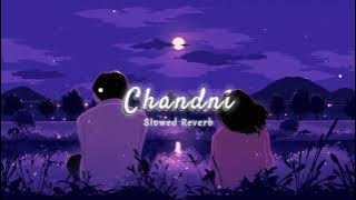 Chandni slowed reverb - Sachet Parampara #video #trendingvideo #viralvideo