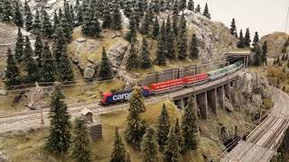 Ein Güterzug auf der Schweizer Alpenbahn