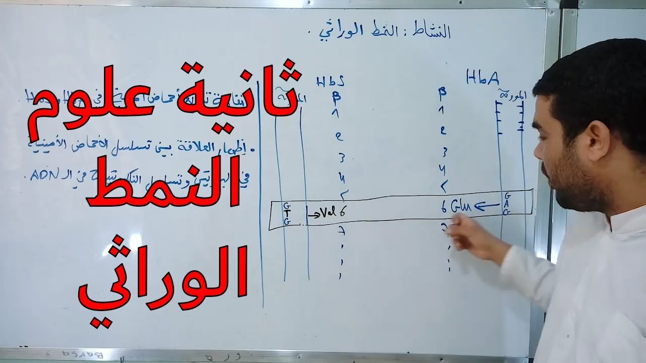 النمط الوراثي [الحصة 35]