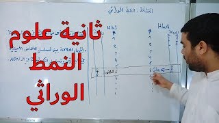 النمط الوراثي [الحصة 35]