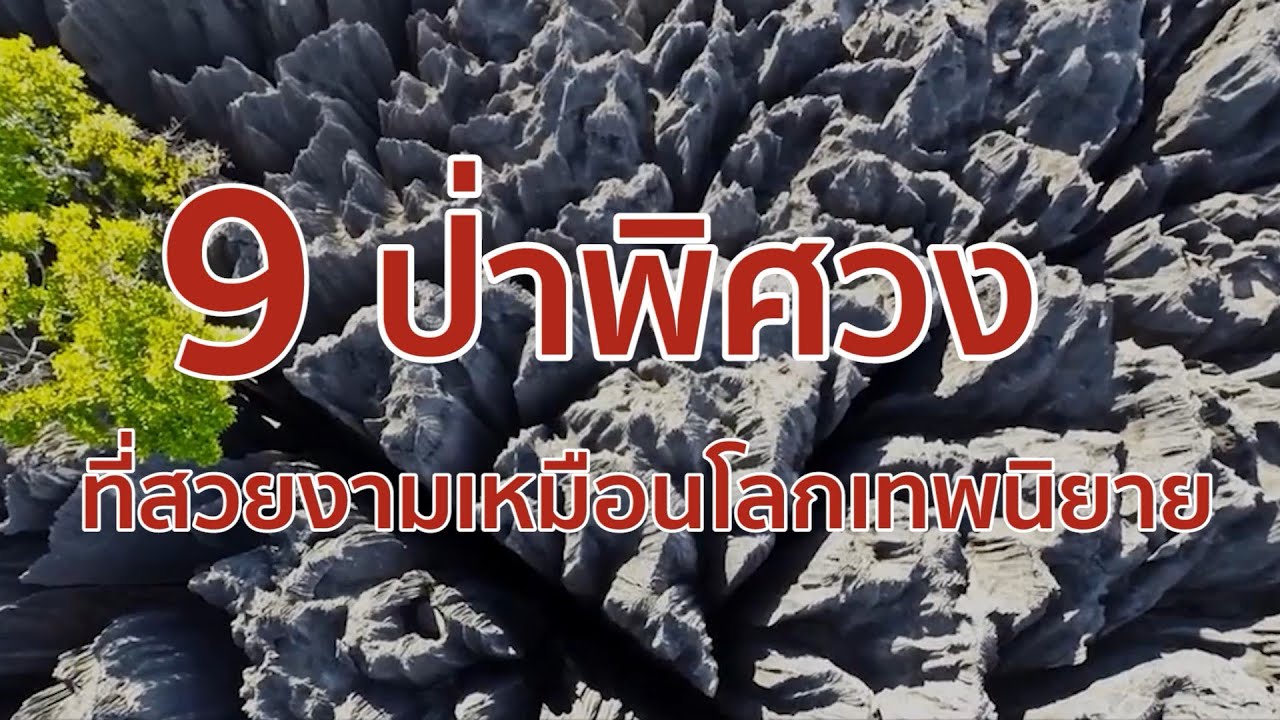 9 ป่าพิศวง ที่สวยงามเหมือนโลกเทพนิยาย