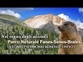 Parco Naturale Fanes Senes Braies - geosfilm