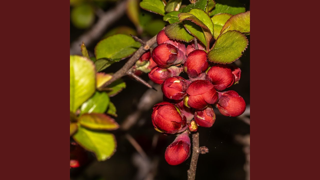 Watch Back Again on YouTube Watch Back Again on YouTube