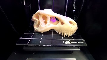 Тираннозавр Рекс - Tyrex на 3D принтере FLYING BEAR GHOST 5