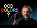 Do CCD DSLRs Produce BETTER COLORS Than Mirrorless Cameras?