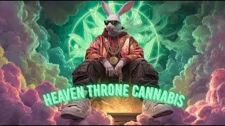 "HIGHER THAN PAIN & Holy Smoke Hymn" 'New 420 Bluesy Music For Broken Soul' [Rabbit Chill]