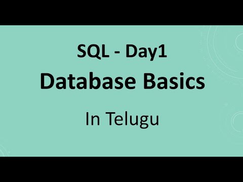 SQL Day1: Database Basics