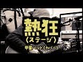 甲斐バンド - 熱狂(ステージ)/ 弾き語りカバー