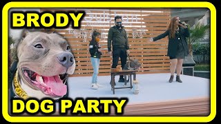 Dog Party 😍 Brody an American Bully at Petfed Gold Pet Party | Part 1 | Family Videos | Harpreet SDC