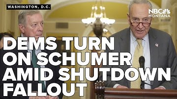 Democrats turn on Schumer amid government shutdown fallout