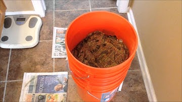 5 Gallon Bucket Worm Farm