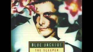 Blue Orchids - Out of sight