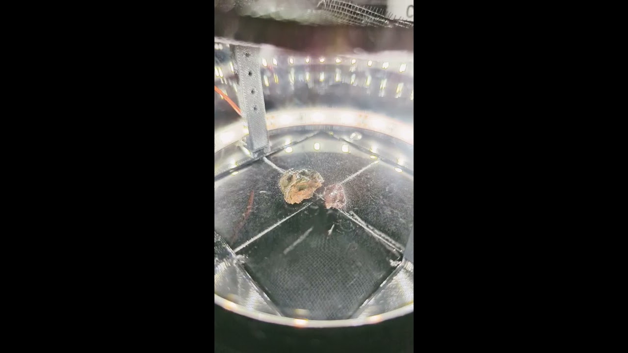  Uranium Ore In A Cloud Chamber Seeing The Invisible World Of Radioactivity