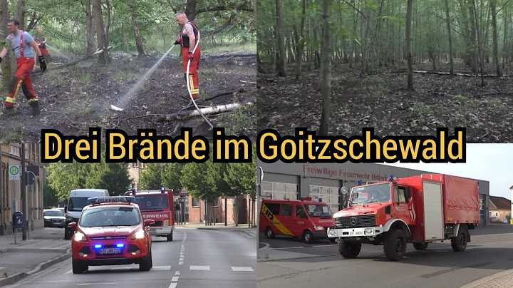 🔥Wieder brennt der Goitzschewald - Wachausfahrt Ortsfeuerwehr Bitterfeld & vieles mehr am 22.06.2025
