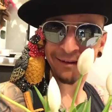chester bennington's instagram story... 😂