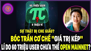 Pi Network: Bóc Trần Cơ Chế "Giá Trị Kép" - Vì Sao 60 Triệu User Chưa Thể Open Mainnet?