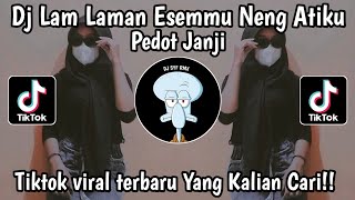 Dj kowe lan Aku Mlaku Dewe Dewe || Pedot Janji Tiktok viral terbaru yang kalian cari!!