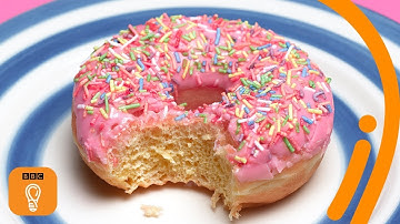 The science behind why donuts are so hard to resist | The Royal Society