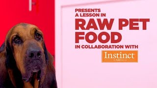 petco instinct raw boost