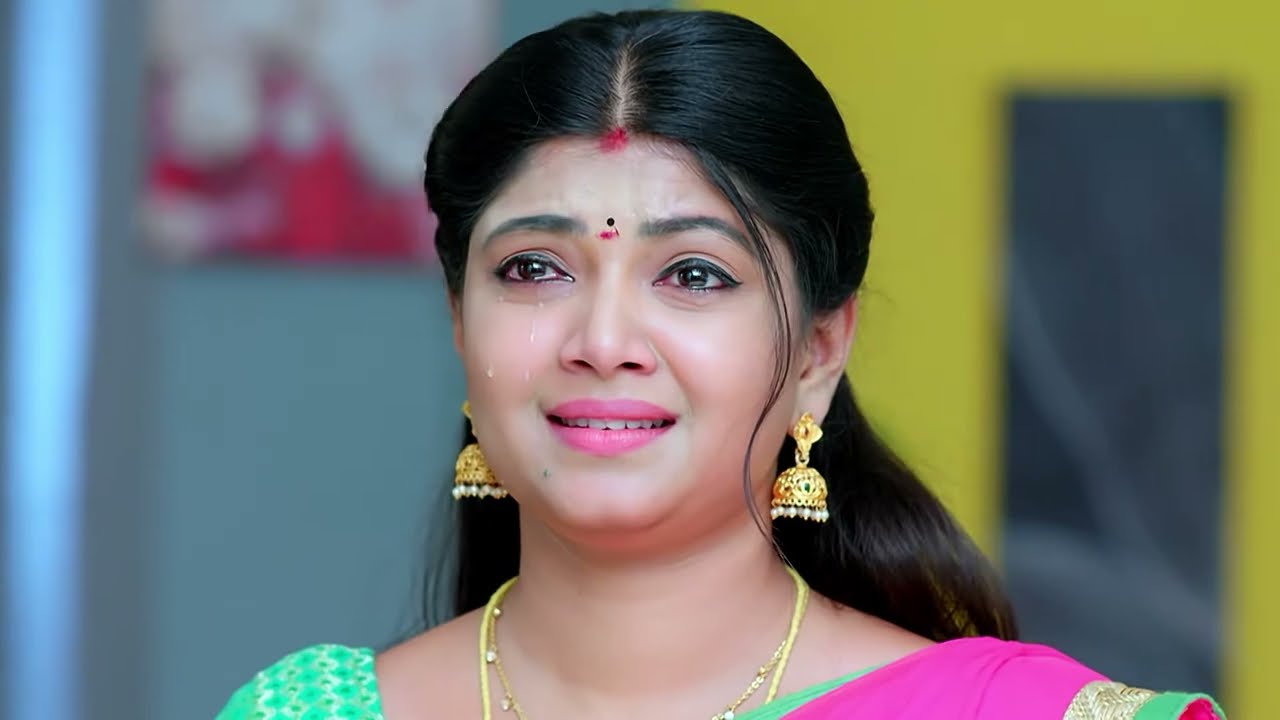 Vaidehiയെ അടിച്ച് Devan | Malayogam | Full Ep 234 | Pavan,Karuna  - Zee Keralam