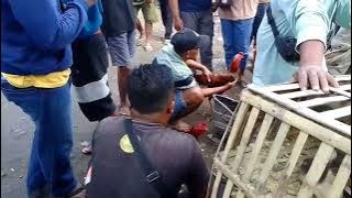 Keseruan mencari ayam Bangkok di pasar