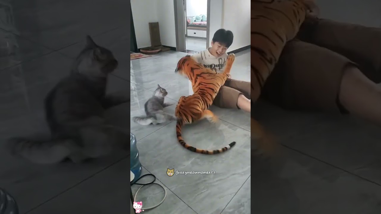 Cats protecting their owners#youtubeshorts #funny #cat #funnycats