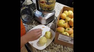 Breville Sous Chef 16 Peeling Apples