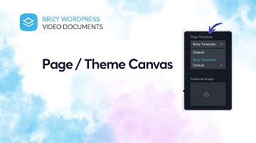 Page / Theme Canvas Options | Brizy Video Documentation, WordPress