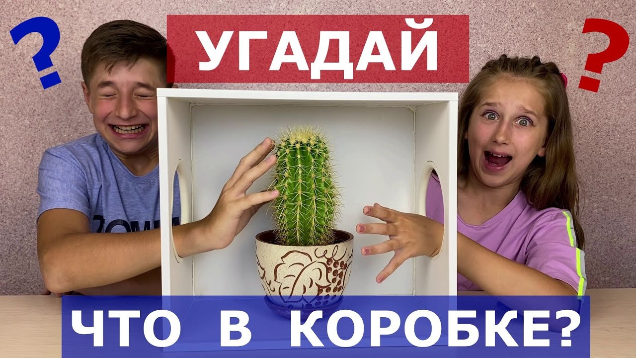 Конкурс угадай что в коробке на ощупь. Угадай что в коробке. Игра Угадай что в коробке. Игра Угадай что в коробке на ощупь. Коробка для угадывания.