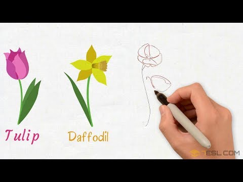 List Of Plant And Flower Names In English With Pictures 7esl