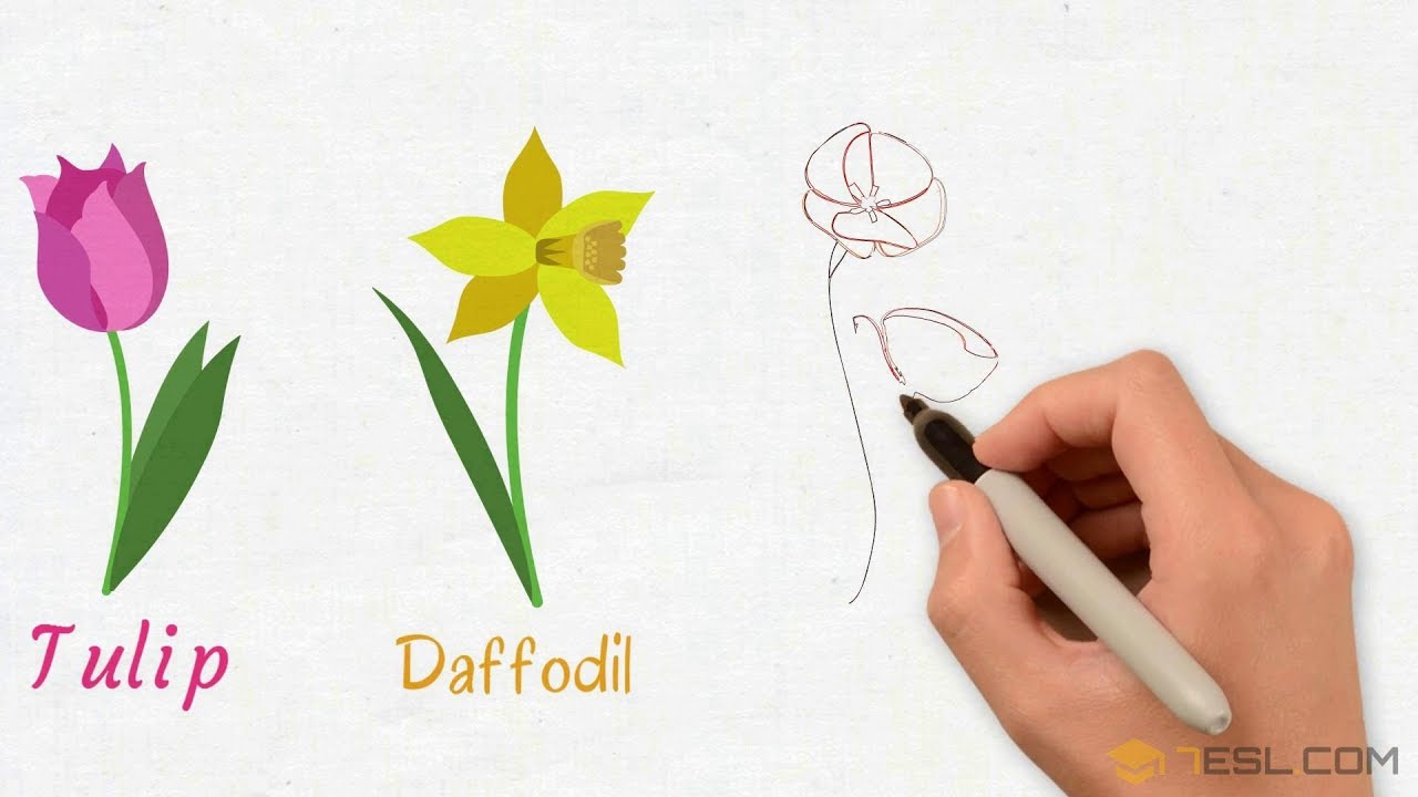 List Of Flowers Names Of Flowers With Images Youtube