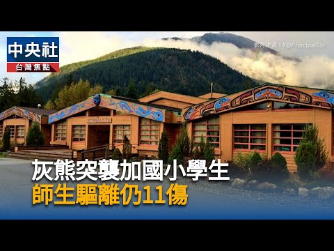 灰熊突襲加國小學生  師生驅離仍11傷