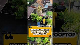 Turn Your Roof Into A Garden And Chicken Farm