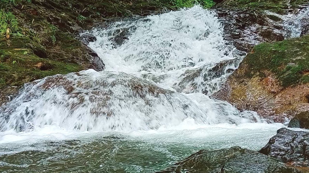 River Sound for Sleeping | Real Natural Flowing Water ASMR