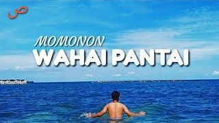 MOMONON - WAHAI PANTAI ( Video Lyrics Cover )