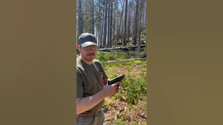 Springfield XD-M Elite, First Shots #shorts