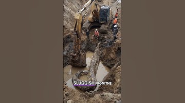 60-Foot Python Discovered Beneath Construction Site in India