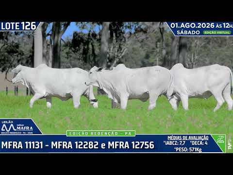 LOTE 126   MFRA 11131   MFRA 12282 e MFRA 12756