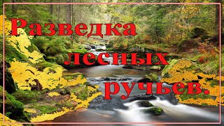 Разведка лесных ручьёв.