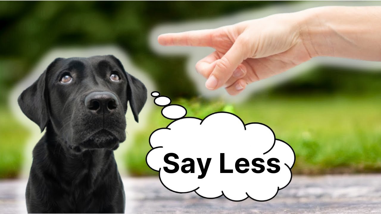 Are you ACCIDENTALLY Being A BAD Leader For Your Dog?