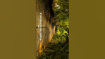 On my own path #travel #viral #indianexplorers #love #youtubeshorts #thejourneywithnature #path